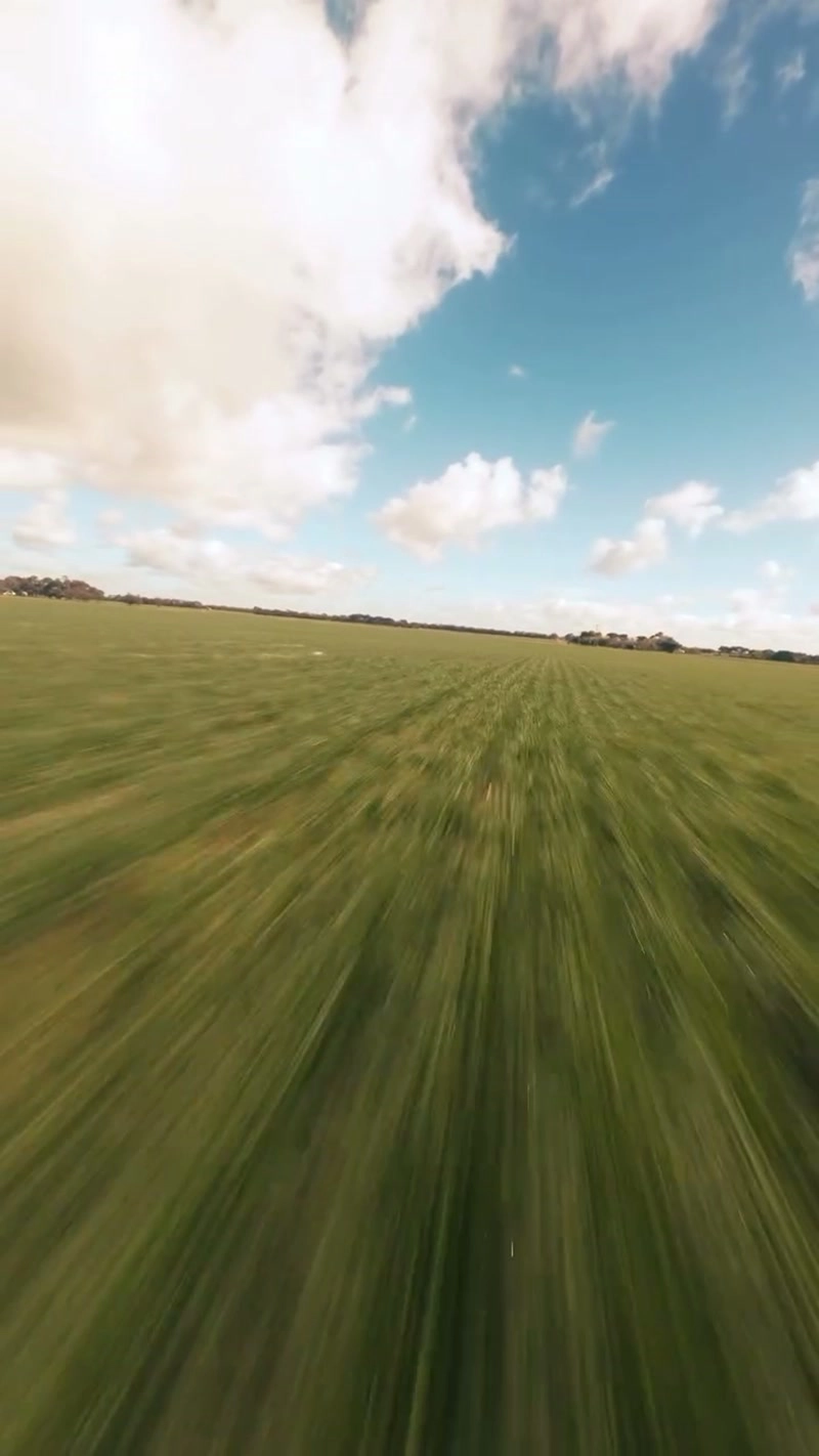 随风穿梭在草原